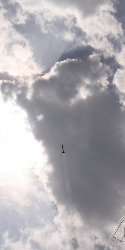 2012 Suche Mirek Topinka